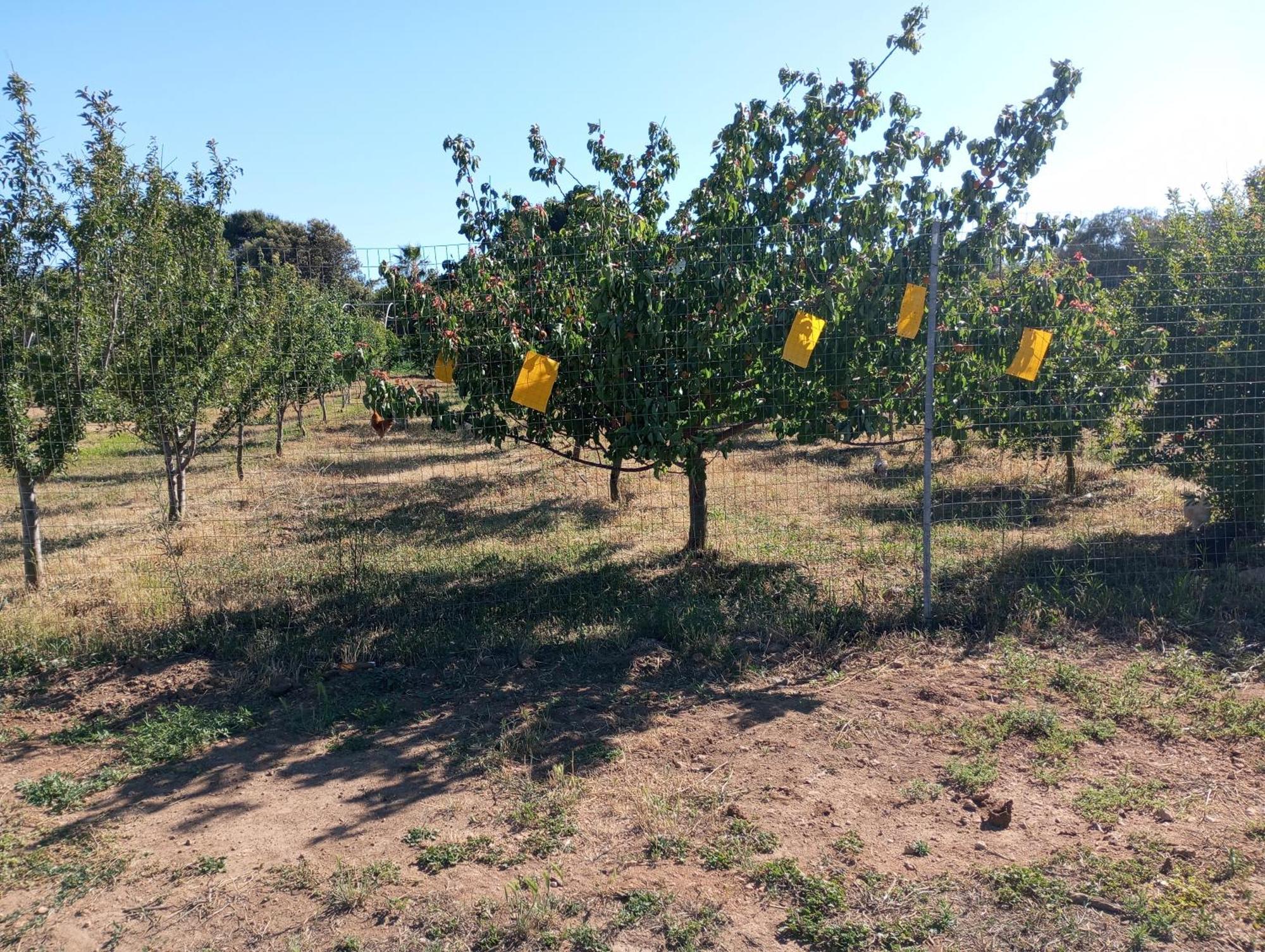 Sannoranna Alojamento de Turismo Rural Càbras