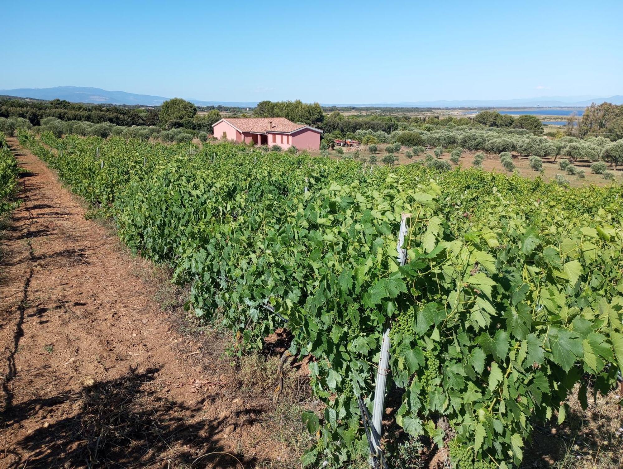 Alojamento de Turismo Rural Sannoranna